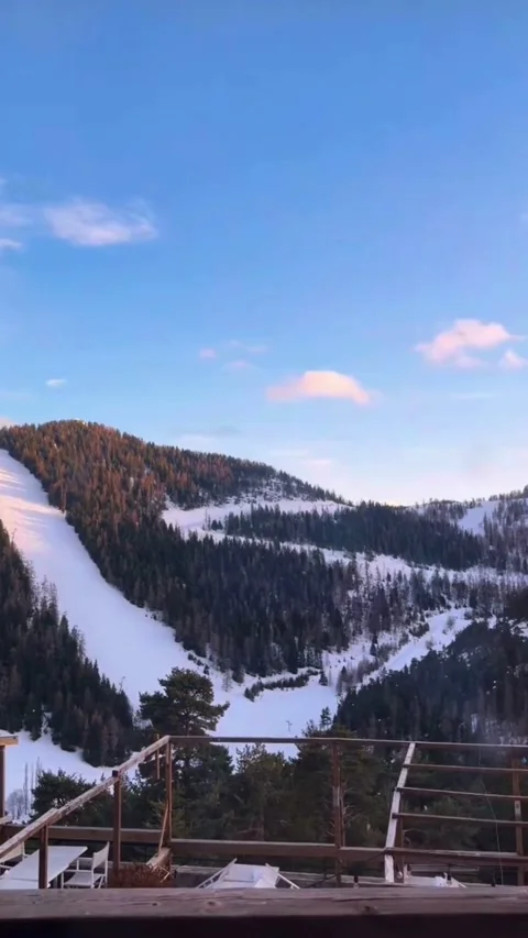 Snowy Mountain Ski Slope With Pine Forest in Winter Stock Footage 330259754