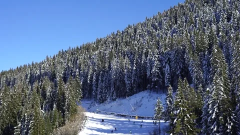 A snowy mountain ski slope surrounded by dense evergreen forest Stock Footage 325706635