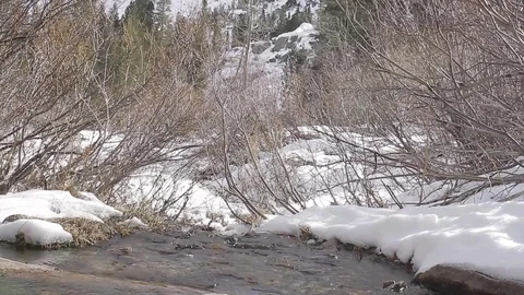 Snowy mountain stream 1 7480 Stock Footage