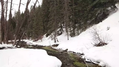 Snowy Mountain Stream Stock Footage 89455517