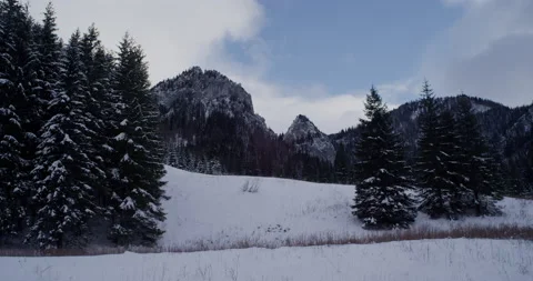 Snowy mountain tops behind trees. Overcast Stock Footage 147643152