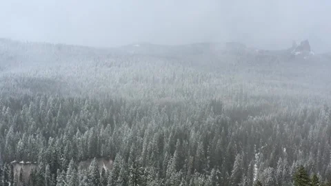 A snowy mountain with trees covered in snow Stock Footage 271585068