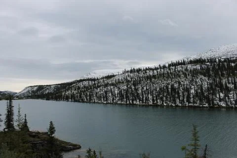 Snowy mountain with trees Stock Photos