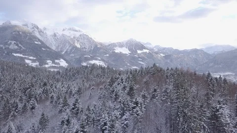 Snowy Mountains and Forest  Vídeo Stock 88706559
