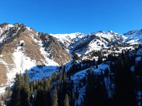 Snowy Mountains and Pine Forest Winter Landscape under Clear Blue Sky Stock Photos