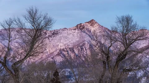 Snowy mountains behind bare trees as alpenglow sets timelapse 動画素材 310564511