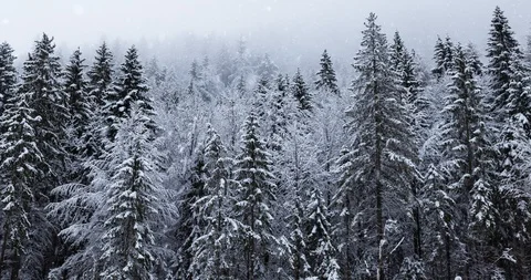 Snowy mountains during snowfall Vídeos de archivo 120315977