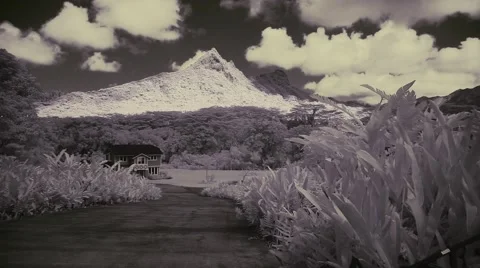 In snowy mountains Video stock 42745924