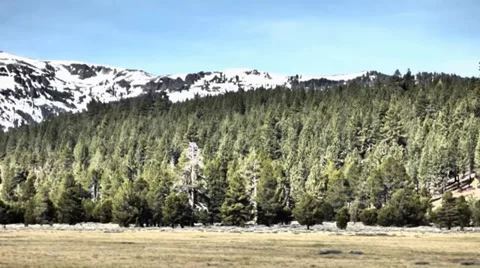 Snowy Mountains, Forest Meadow Video stock 38841871