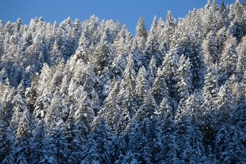 Snowy mountains Stock Photos