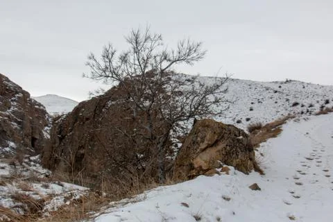 Snowy mountains Stock Photos