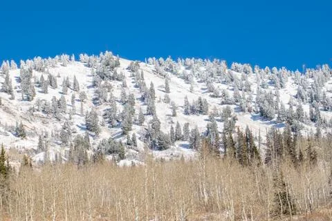 Snowy Mountains Stock Photos