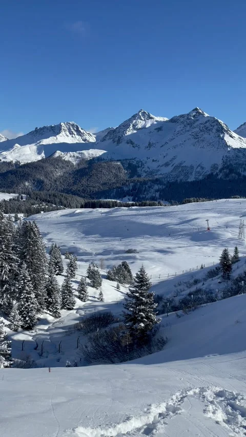 Snowy mountains with pine trees under a blue sky in Switzerland Stock Footage 330585269