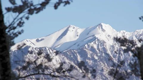 Snowy mountains of remaining and cherry blossom in the morning Stock Footage 152540663