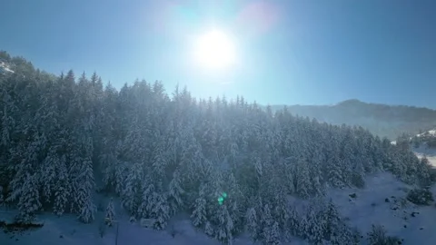 Snowy mountains roads pine forests and magnificent scenery 動画素材 294186501