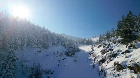Snowy mountains roads pine forests and magnificent scenery Stock Footage 294186502