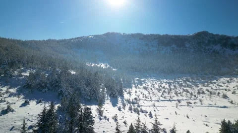 Snowy mountains roads pine forests and magnificent scenery Stock Footage 294186957