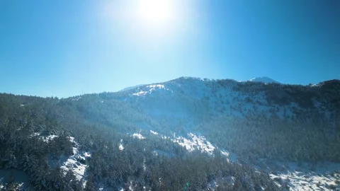 Snowy mountains roads pine forests and magnificent scenery 動画素材 294213310