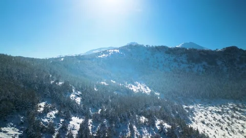 Snowy mountains roads pine forests and magnificent scenery 動画素材 294214220