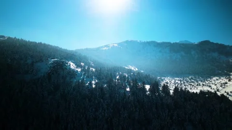 Snowy mountains roads pine forests and magnificent scenery 動画素材 294214221