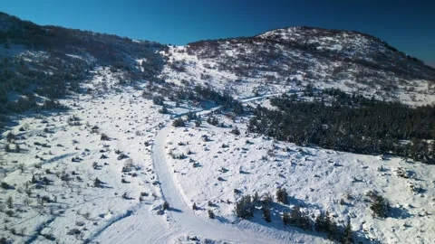 Snowy mountains roads pine forests and magnificent scenery 動画素材 294215250