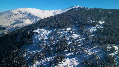Snowy mountains roads pine forests and magnificent scenery 動画素材 294215670