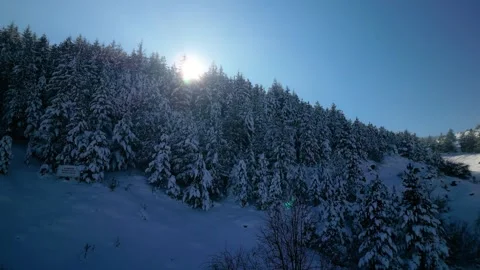 Snowy mountains roads pine forests and magnificent scenery 動画素材 294225949