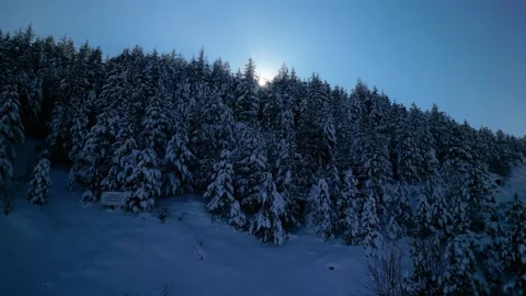 Snowy mountains roads pine forests and magnificent scenery 動画素材 294226709