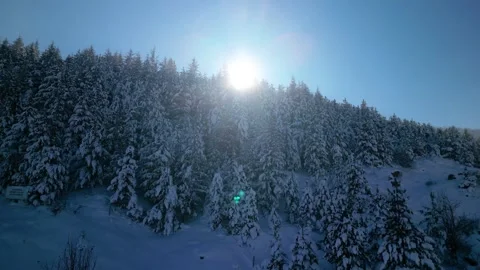 Snowy mountains roads pine forests and magnificent scenery 動画素材 294226931