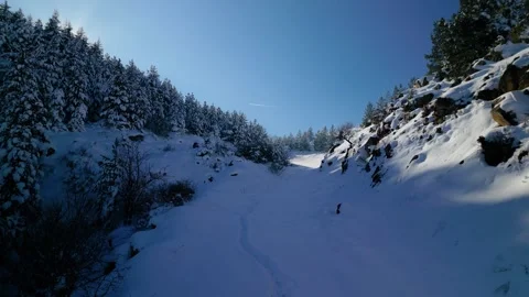 Snowy mountains roads pine forests and magnificent scenery 動画素材 294227707
