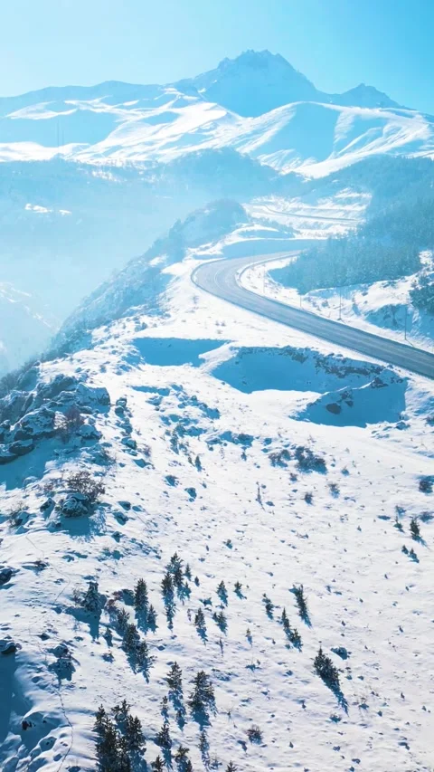 Snowy Mountains Roads Pine Forests Magnificent Scenery Vertical Video Stock Footage 334872078