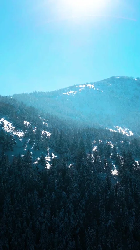 Snowy Mountains Roads Pine Forests Magnificent Scenery Vertical Video Stockbeeldmateriaal 334877181