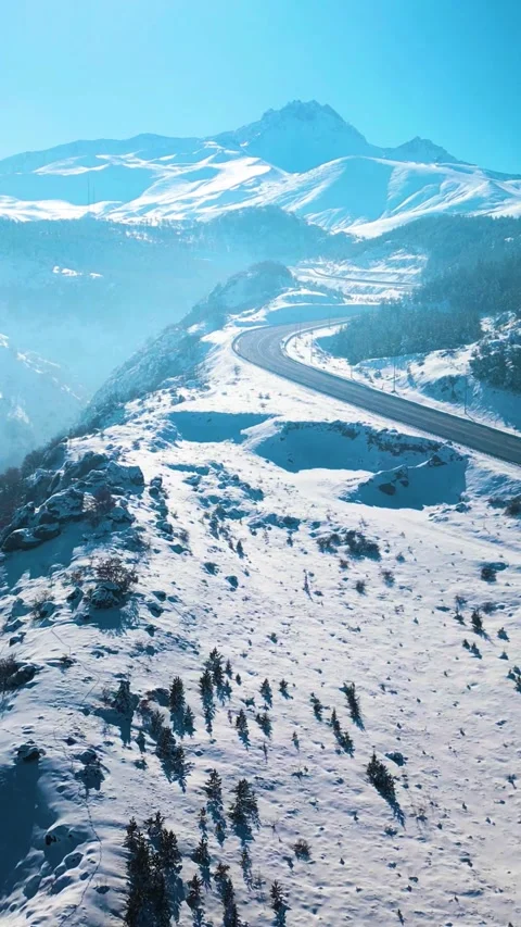 Snowy Mountains Roads Pine Forests Magnificent Scenery Vertical Video Stock Footage 334883717