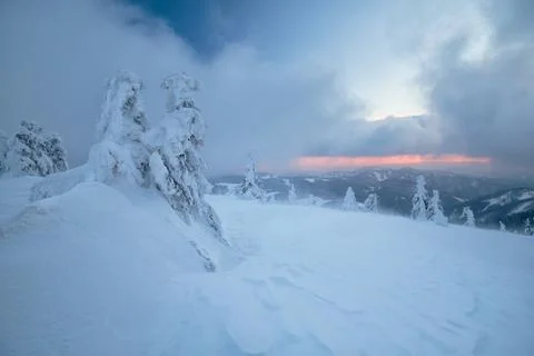 Snowy mountains an threes Stock Photos