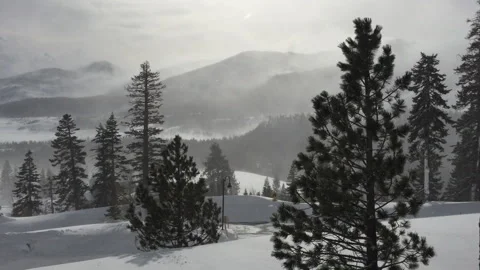 Snowy mountains with trees. Mammoth, CA Stock Footage 302244570