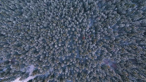 Snowy mountains in winter Video stock 255099042