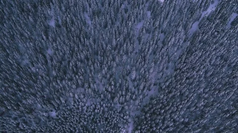 Snowy mountains in winter Video stock 255189044