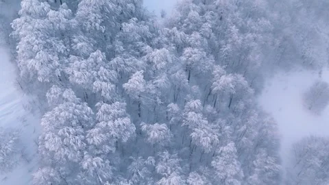Snowy mountains in winter Stock Footage 255622818