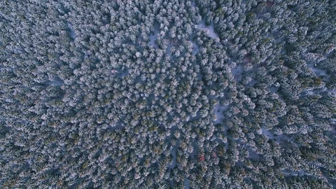 Snowy mountains in winter Stock Footage 255801161