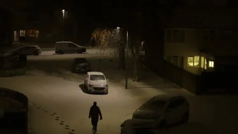 Snowy Night Stock Footage