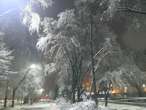 Snowy night Stockfoto's