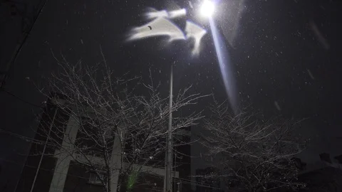 Snowy night reflection in korea Stockbeeldmateriaal 90061253