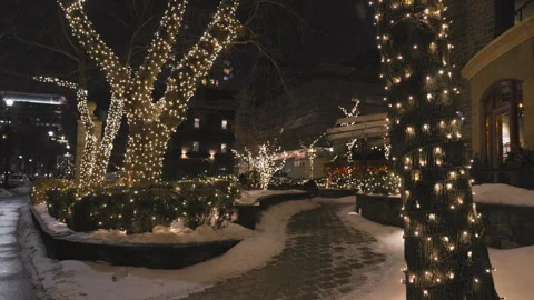 Snowy Night with Trees Wrapped in Lights 動画素材 302966047