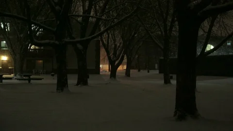 Snowy Night view.  Video stock 70800301