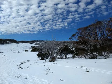 Snowy outback Stock Photos