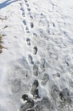 Snowy Outside Stock Photos
