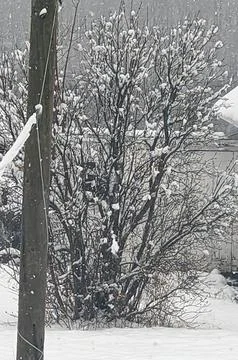Snowy Outside Stock Photos