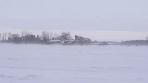 Snowy Owl comes in a gets its prey Vídeo Stock 34862303