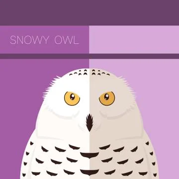 Snowy Owl flat postcard Stock Illustration