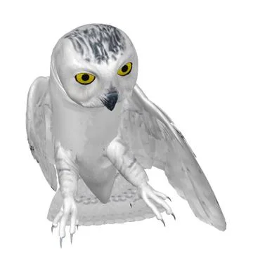 Snowy owl Stock Illustration